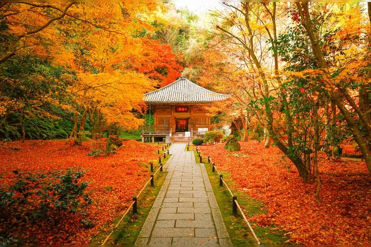 Tourist destination images of Entsuuin Temple(5)