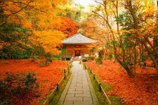 Tourist destination images of Entsuuin Temple(5)