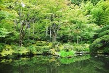 Tourist destination images of Entsuuin Temple(2)