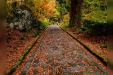 Tourist destination images of Okumiya Shrine of Oogamiyama Shrine(1)