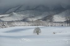 Tourist destination images of Hiruzen Kogen Bell of Love(4)