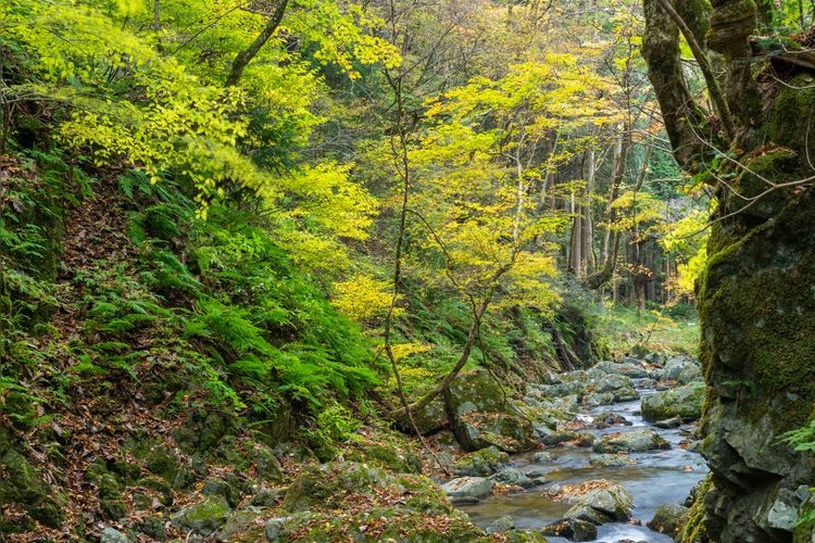 Tourist destination images of Yamajo Gorge(4)
