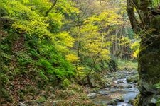 Tourist destination images of Yamajo Gorge(4)