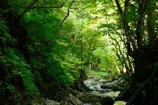 Tourist destination images of Yamajo Gorge(2)