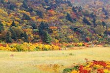 Tourist destination images of Mount Kurikoma(2)