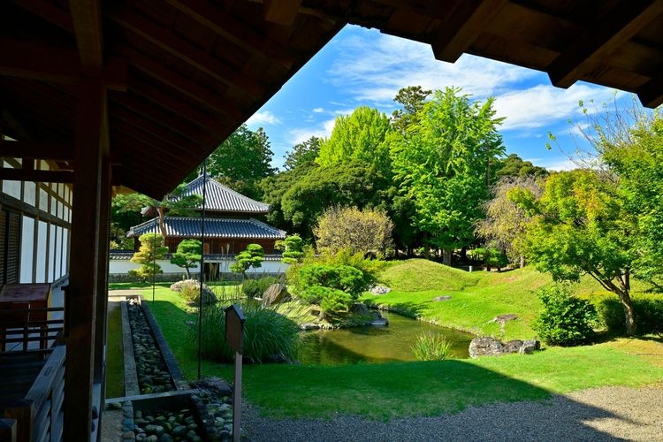 아시카가 학교 (Ashikaga Gakko)