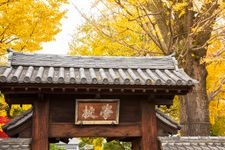 足利学校の観光地画像(4)