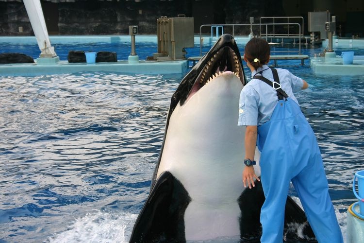 Nagoya Port Aquarium