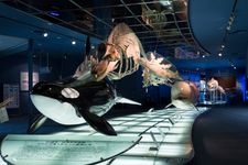 Tourist destination images of Nagoya Port Aquarium(2)