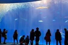 Tourist destination images of Nagoya Port Aquarium(3)