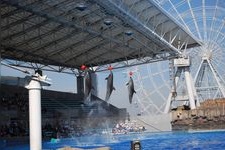 Tourist destination images of Nagoya Port Aquarium(5)