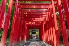 Tourist destination images of Tsushima Shrine(2)