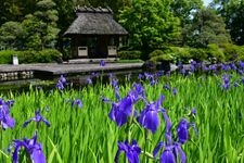 Tourist destination images of Jozanen Garden(1)