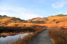 Tourist destination images of Toge Peak Plateau(2)