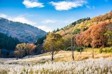 Tourist destination images of Toge Peak Plateau(5)