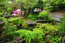 Tourist destination images of Nomura Family Samurai Residence Site(3)