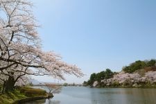 Tourist destination images of Takamatsu Park(2)