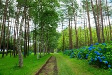 Tourist destination images of Iwate Prefectural Forest Park(1)