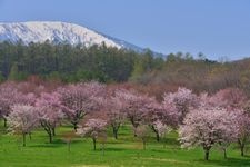 Tourist destination images of Iwate Prefectural Forest Park(3)