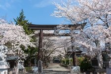 Tourist destination images of Fuji Omuro Sengen Shrine(4)