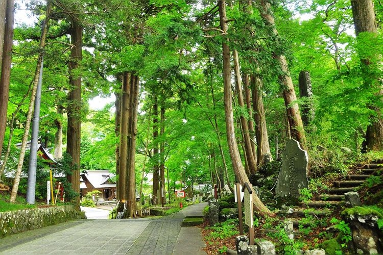 Higashiguchi Hongu Fuji Sengen Shrine