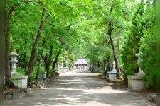 Tourist destination images of Kitaguchi Hongu Fuji Sengen Shrine(1)