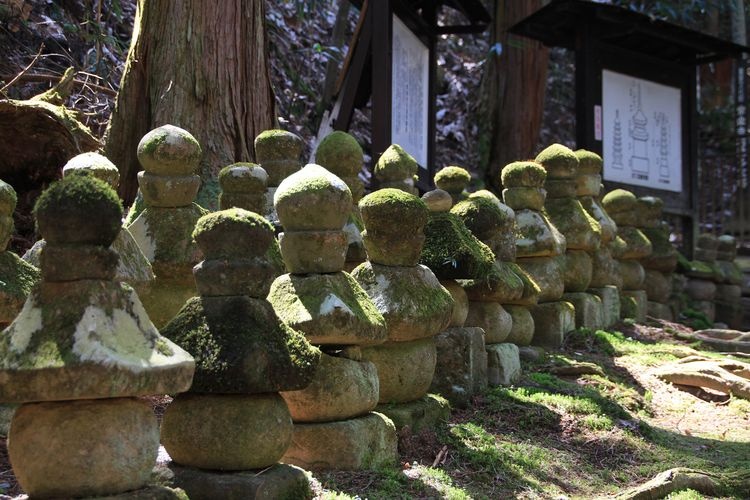 Joraku-ji Temple