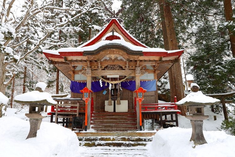 Nakano Momiji-yama (Nakano-jinja) 2