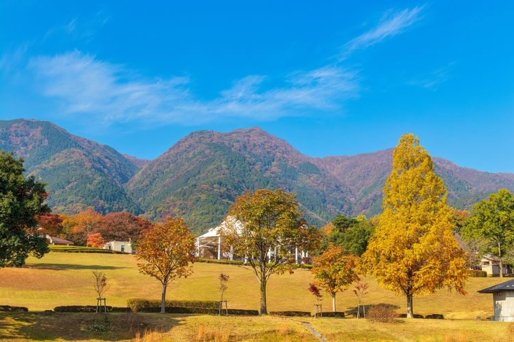 养老公园的旅游景点图片(4)