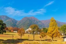 养老公园的旅游景点图片(4)