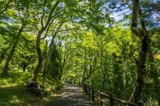养老公园的旅游景点图片(3)
