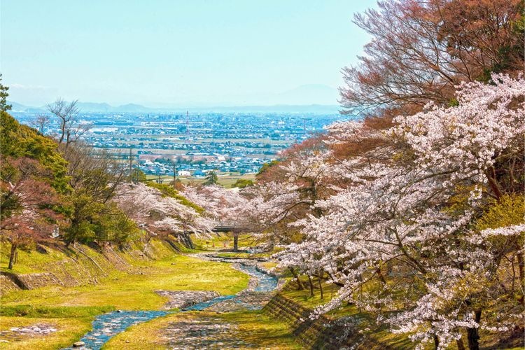 養老公園