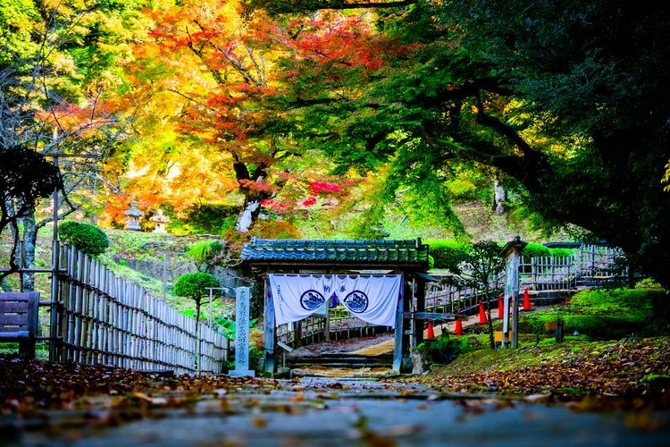 Ikeda Family Mausoleum of Tottori Domain