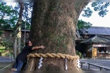 Tourist destination images of Kototama Hachimangu Shrine(3)