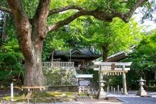 Tourist destination images of Kototama Hachimangu Shrine(4)