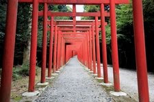 Tourist destination images of Nangu Taisha Shrine(4)