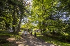 Tourist destination images of Suwa Taisha Shrine, Kamisha Maemiya(1)