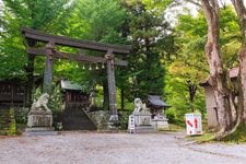 Tourist destination images of Suwa Taisha Shrine, Kamisha Maemiya(4)