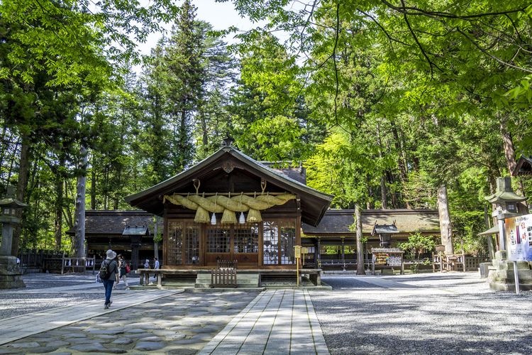 Suwa Taisha Shrine, Lower Shrine Harumiya