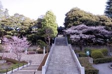 Tourist destination images of Utsunomiya Futarayama Shrine(5)