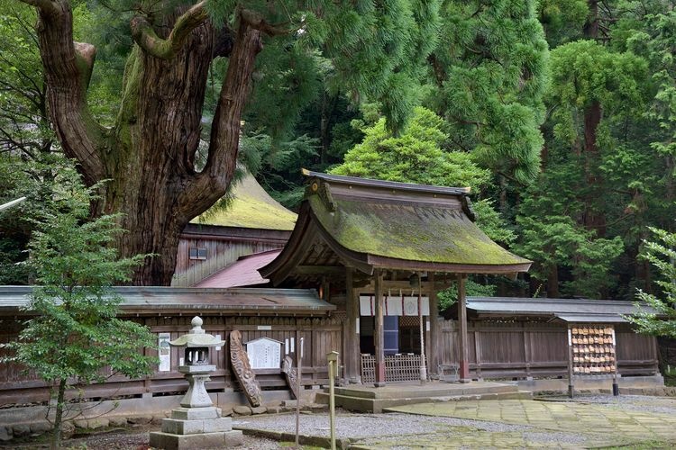 Wakasahime Shrine (Wakasa-kuni Ichinomiya Lower Shrine)