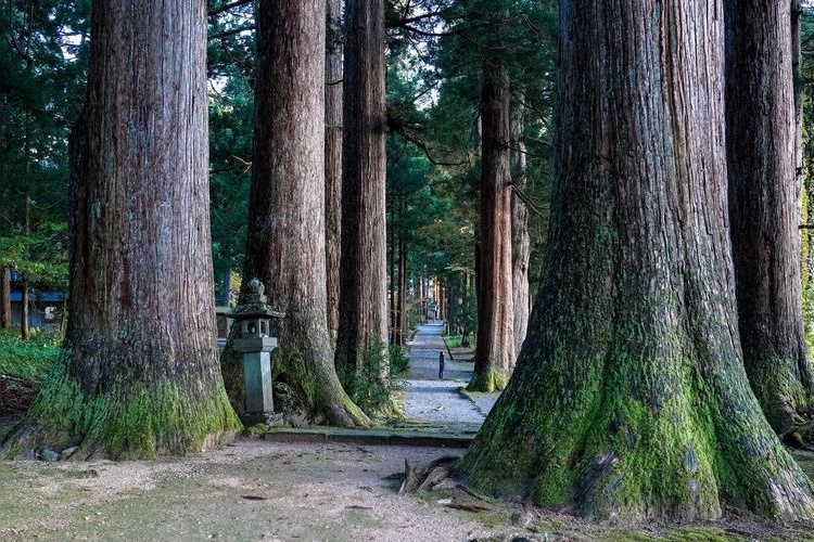 Ōyama Jinja Shrine, Ashikuraji Chūgū Kigan-den