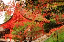 Tourist destination images of Izumo Oomiya Shrine(4)