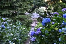 Tourist destination images of Kibitsu Jinja Shrine(1)