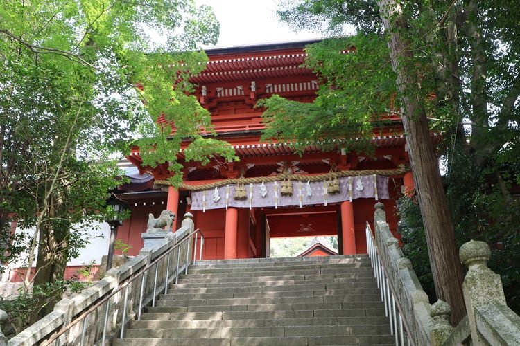 Sumiyoshi Shrine