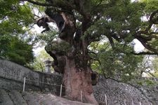 與止日女神社的觀光地圖片(1)