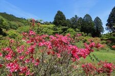 Tourist destination images of Torimiyama Park(1)