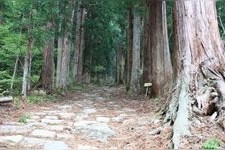 Tourist destination images of Kosuge no Sato(5)