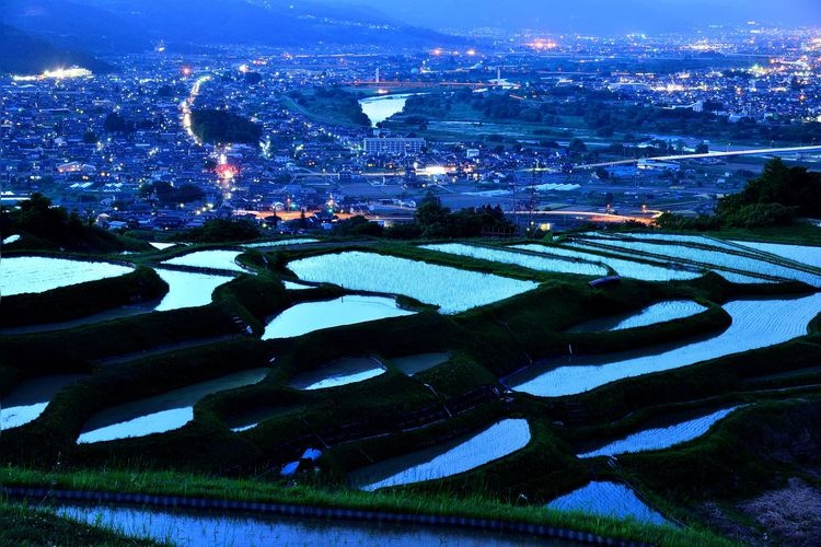 Otoshi Rice Terraces