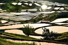 Tourist destination images of Otoshi Rice Terraces(3)